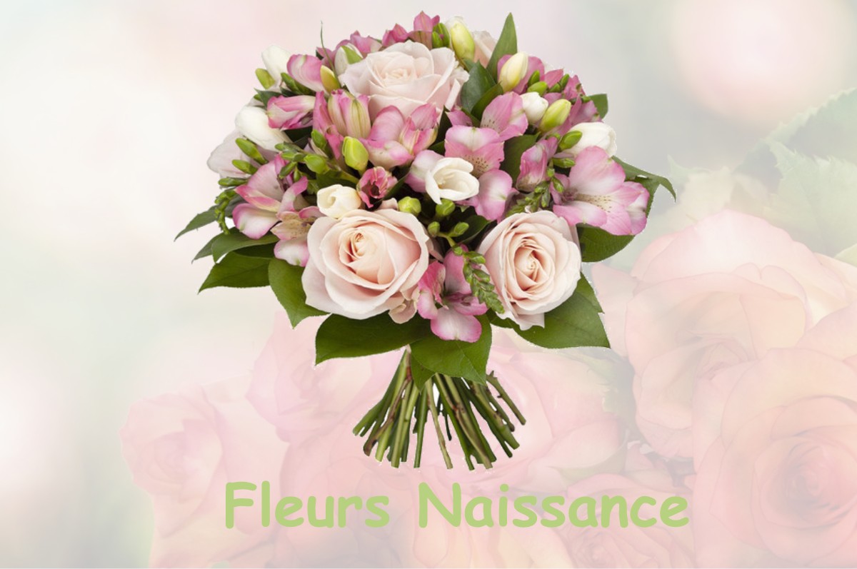 fleurs naissance SAINT-JUST-EN-BAS